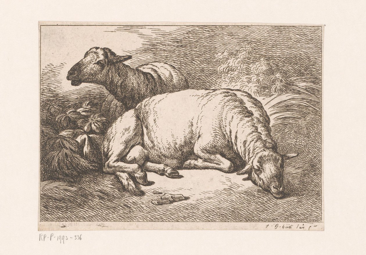 Due pecore da Jean Baptiste Huet (le vieux)