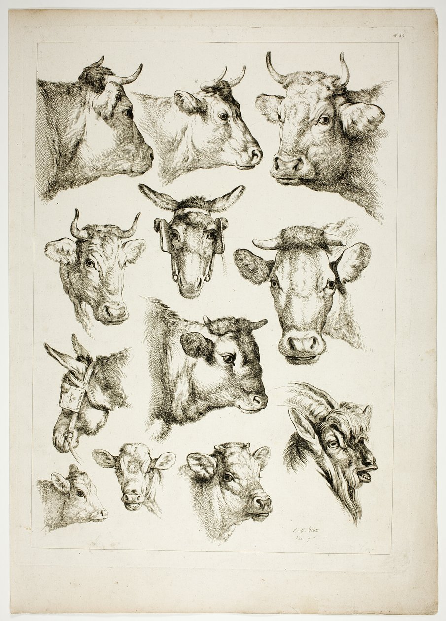 Tavola 35 di 38 da Oeuvres de J. B. Huet da Jean Baptiste Huet