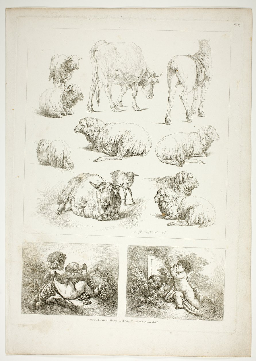 Tavola otto di 38 da Oeuvres de J. B. Huet da Jean Baptiste Huet