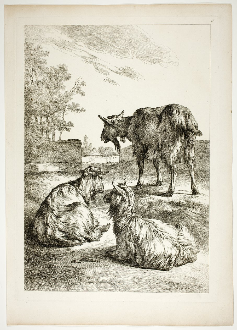 Tavola diciotto di 38 da Oeuvres de J. B. Huet da Jean Baptiste Huet