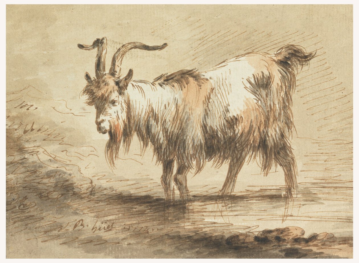 Disegno, Studio di una capra, 1772 da Jean Baptiste Huet