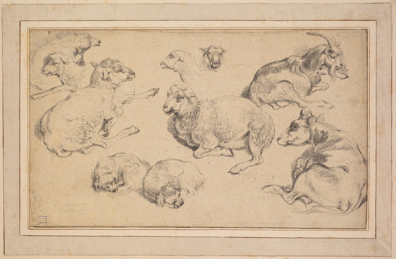 Foglio di Studi con Pecore, Capre e Cani, c. 1780 da Jean Baptiste Marie Huet