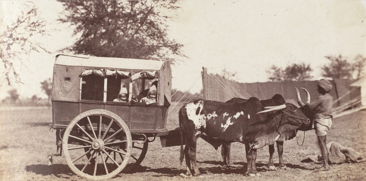 Gemelli Campbell in uno Shigram, Campo del Governatore Generale da Jean Baptiste Oscar Mallitte