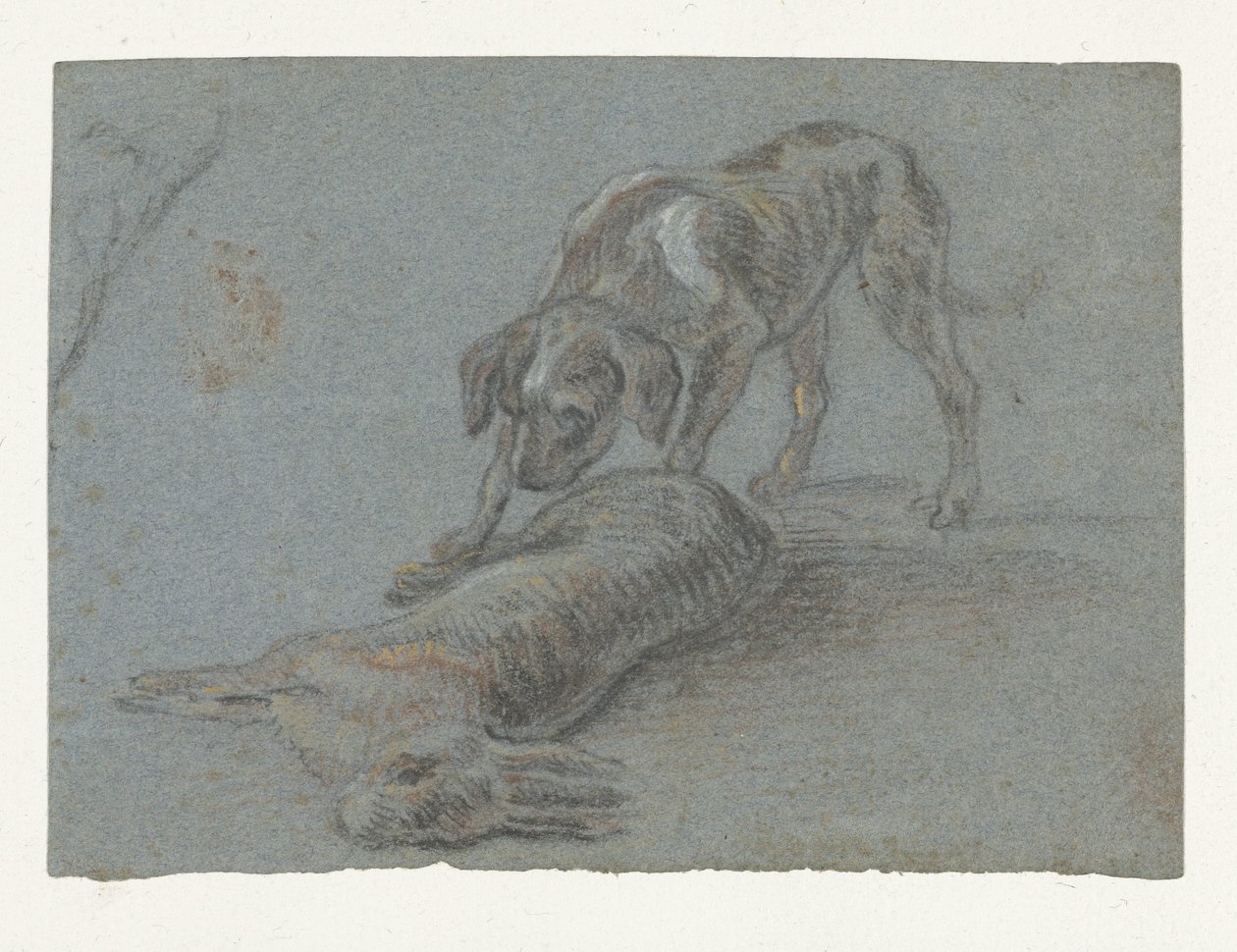 Cane vicino a una lepre abbattuta da Jean Baptiste Oudry (possibly)