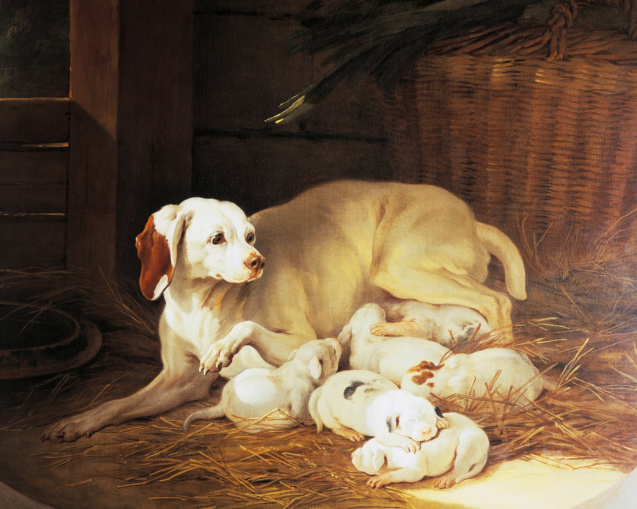Cagna che allatta cuccioli, (dettaglio) da Lise et ses petits, di Jean-Baptiste Oudry, Francia da Jean Baptiste Oudry