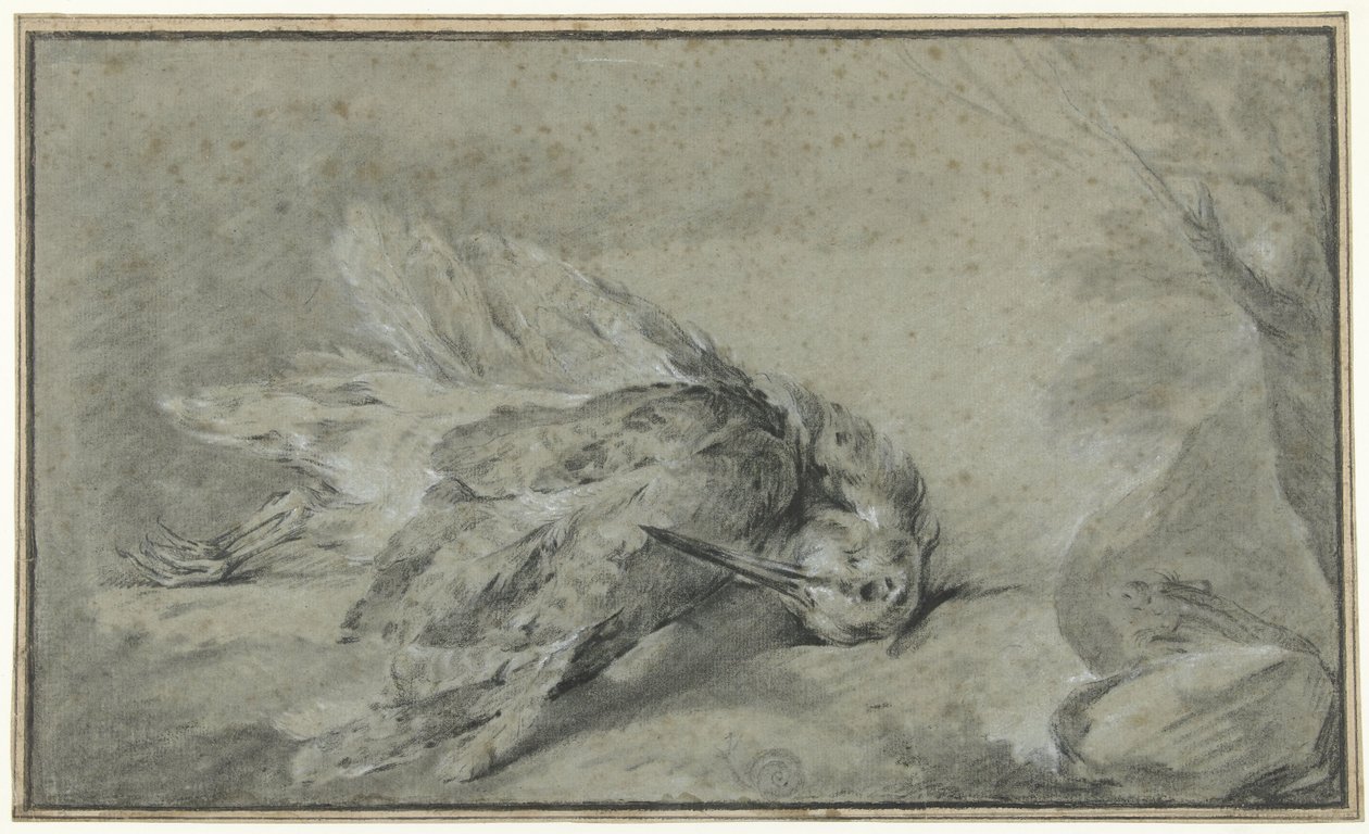 Beccaccia morta (Scolopax rusticola) da Jean Baptiste Oudry