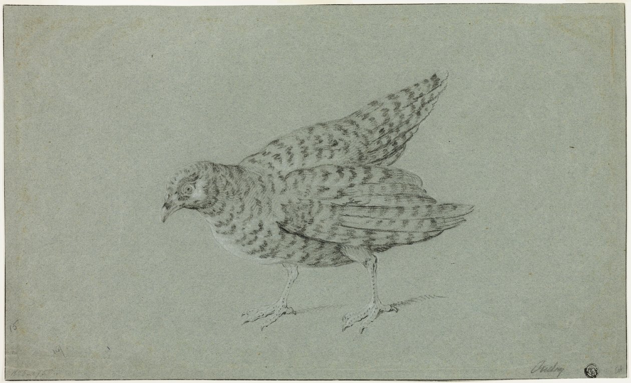Pernice da Jean Baptiste Oudry