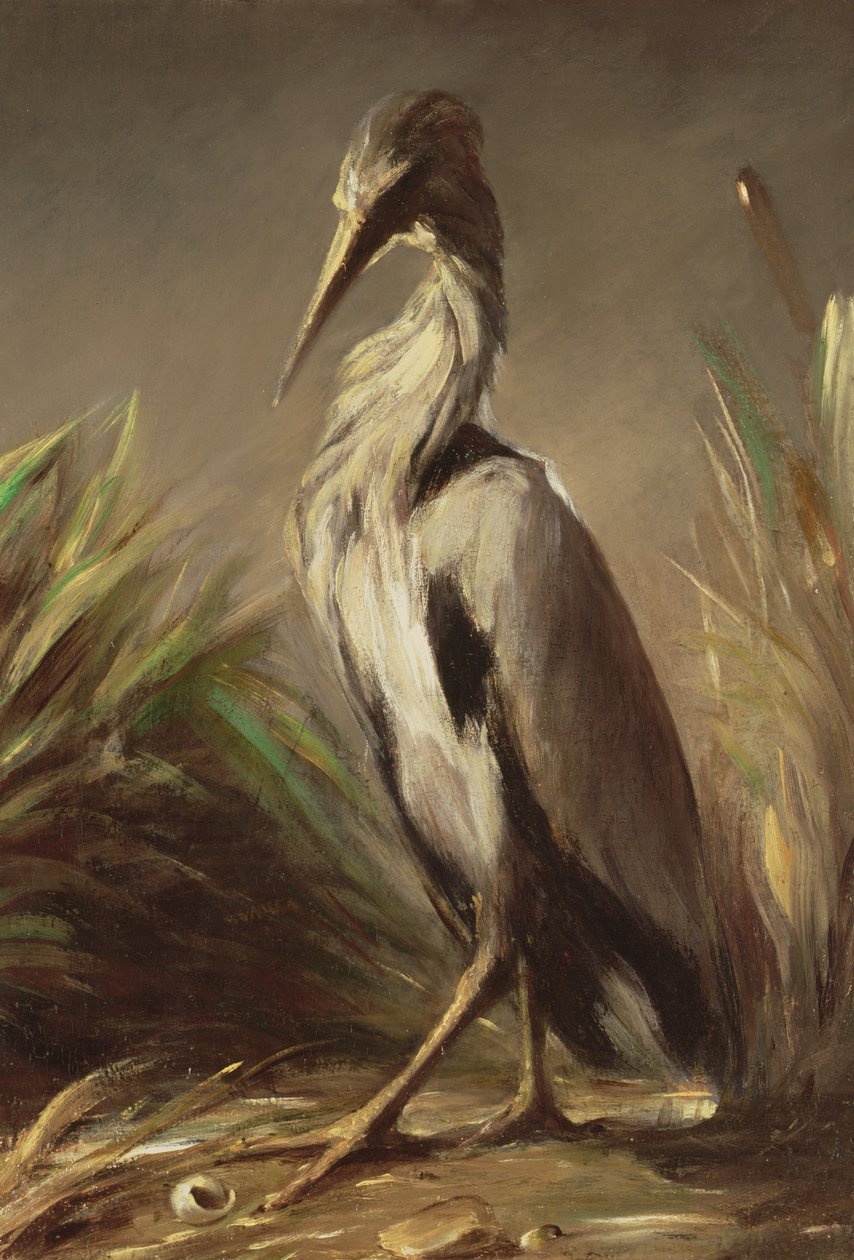Immagine sconosciuta da Jean-Baptiste Oudry