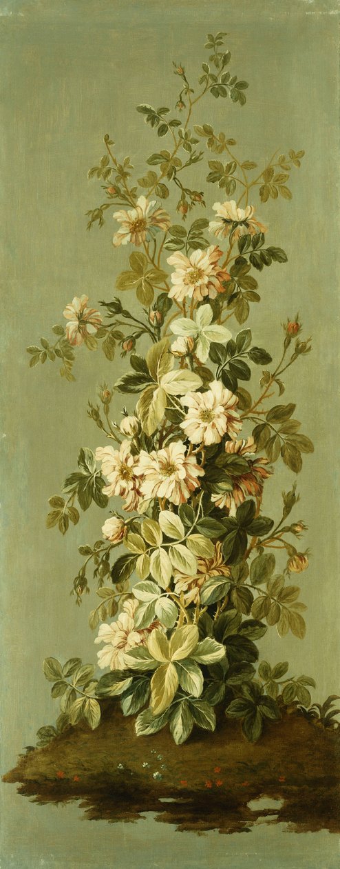 Pannelli decorativi con fiori da Jean Baptiste Pillement