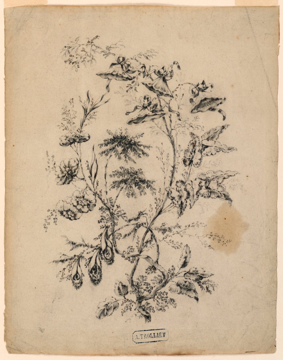 Disegno, Ramo di un albero fantastico, 1775-1800 da Jean Baptiste Pillement