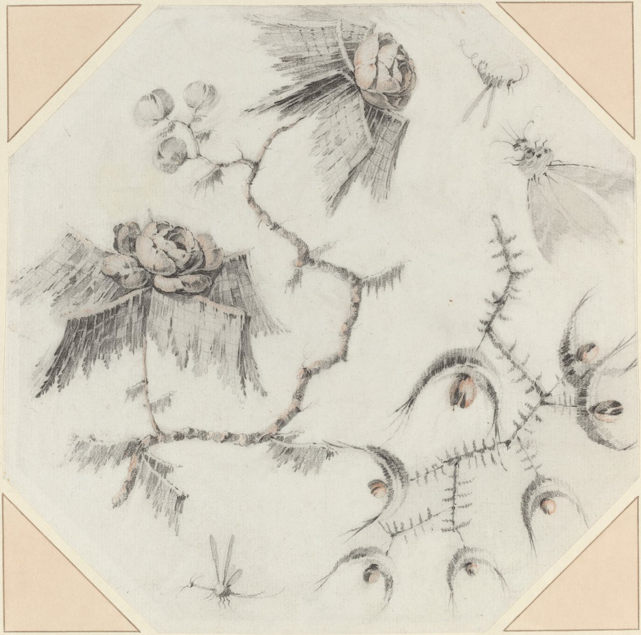 Fiori e insetti fantasiosi da Jean Baptiste Pillement