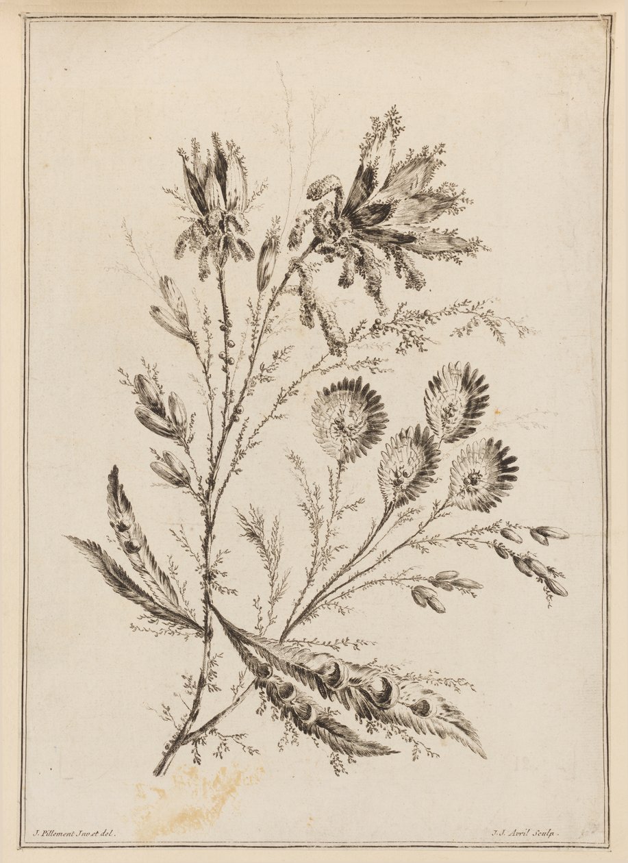 Ramo Fiorito da Jean Baptiste Pillement