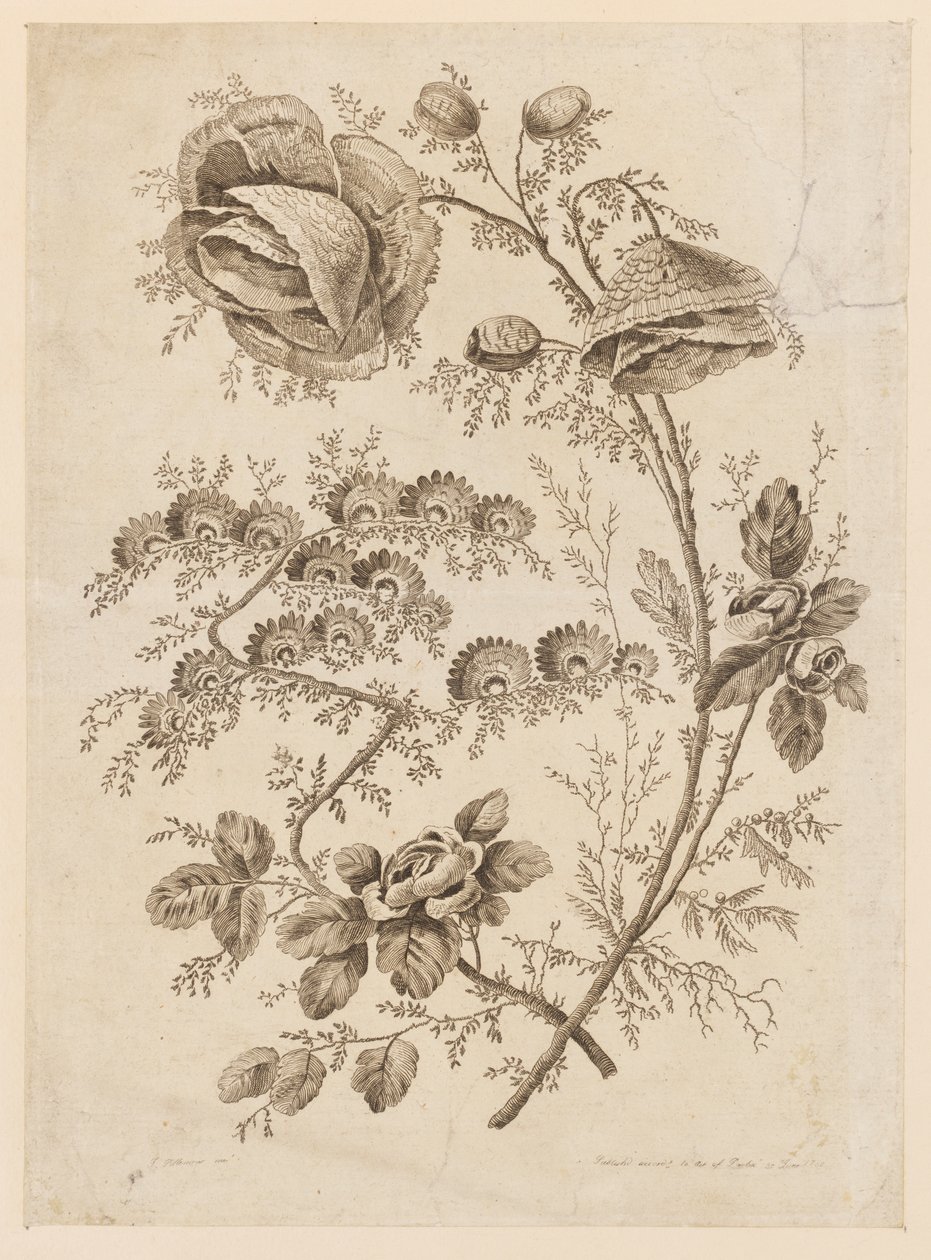 Ramo di Fiori, da "Cahier de Fleurs Singuliers" da Jean Baptiste Pillement