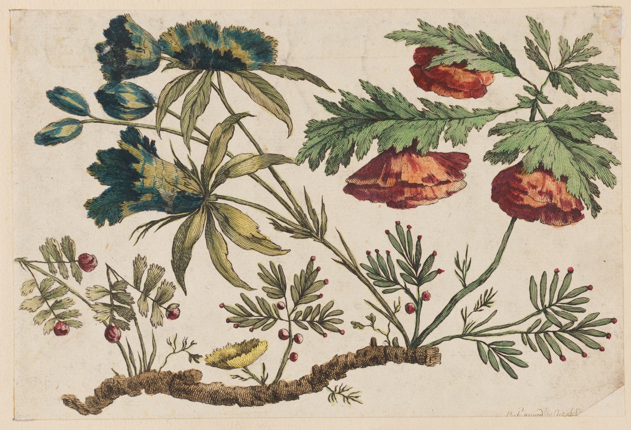 Ramo di fiori, da "Recueil de Fleurs Chinois" da Jean Baptiste Pillement