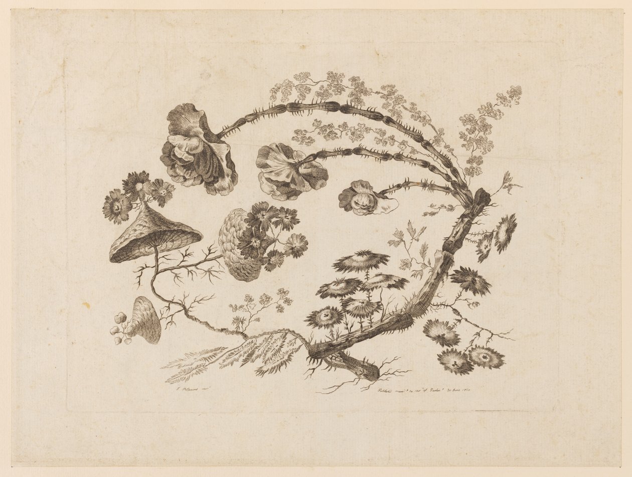 Rami di fiori, da "Recueil de Differentes Fleurs de Fantaisie Dans le Goût Chinois" da Jean Baptiste Pillement