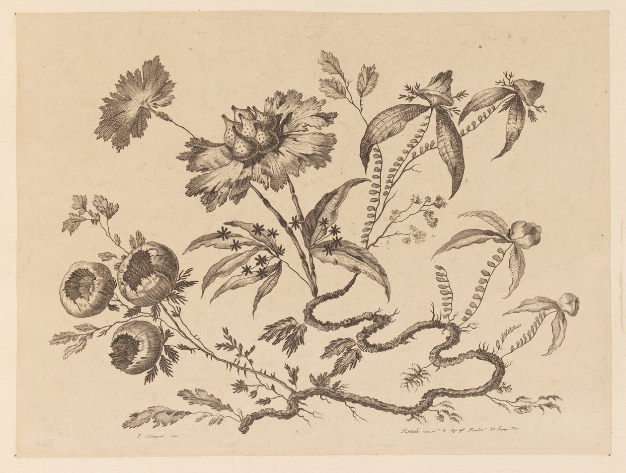 Rami di fiori, da "Recueil de Differentes Fleurs de Fantaisie Dans le Goût Chinois" da Jean Baptiste Pillement