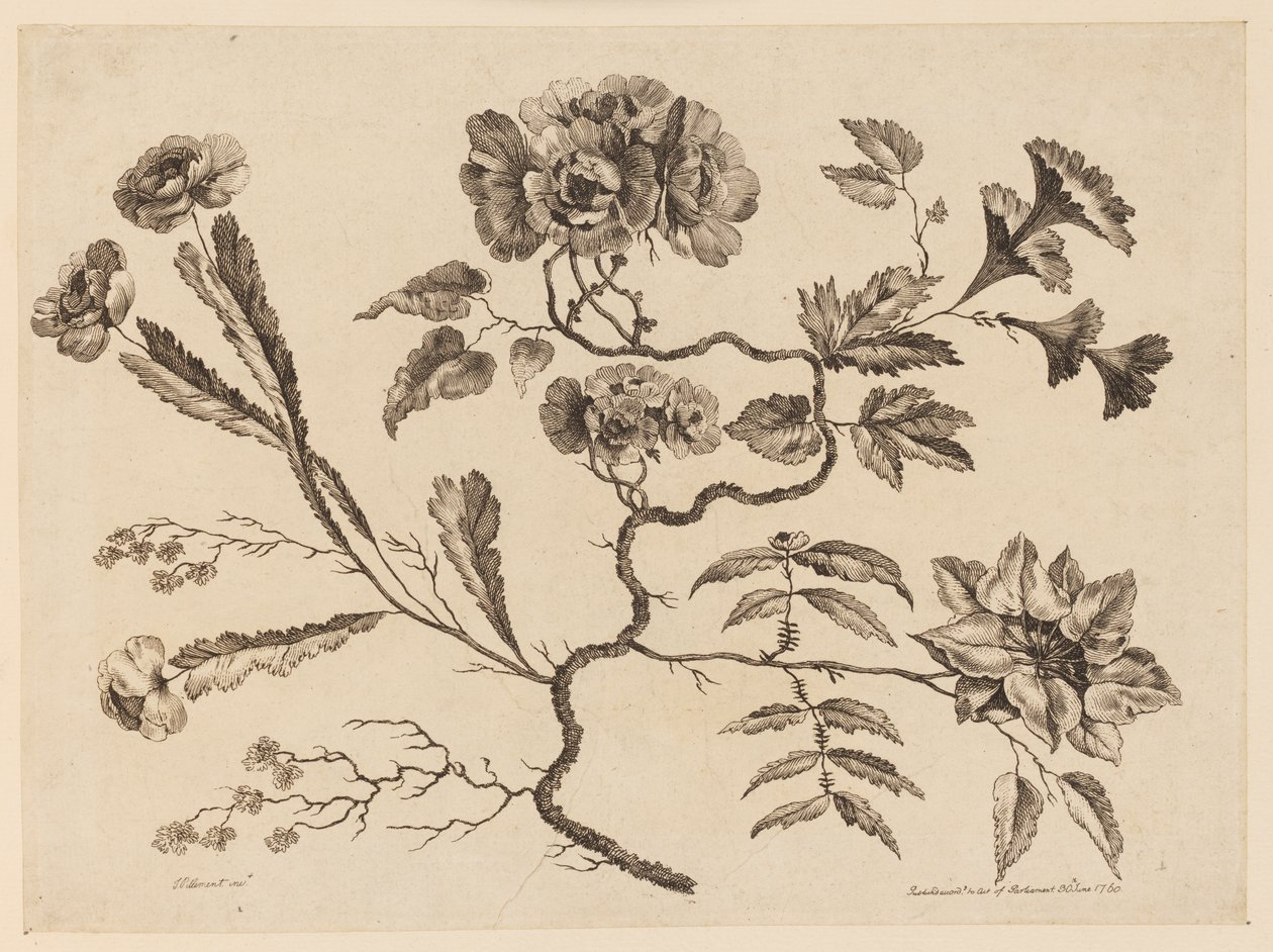 Rami di fiori, da "Recueil de Differentes Fleurs de Fantaisie Dans le Goût Chinois" da Jean Baptiste Pillement