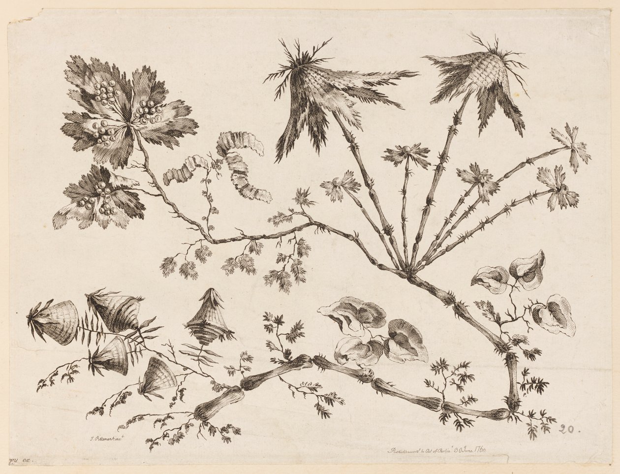 Rami di fiori, da "Recueil de Differentes Fleurs de Fantaisie Dans le Goût Chinois" da Jean Baptiste Pillement