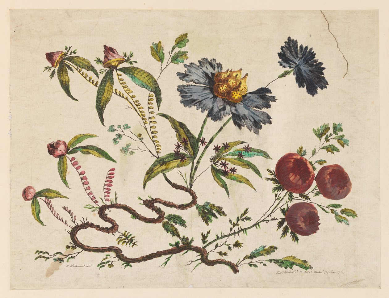 Rami di Fiori, da "Recueil de Differentes Fleurs de Fantaisie Dans le Goût Chinois" da Jean Baptiste Pillement