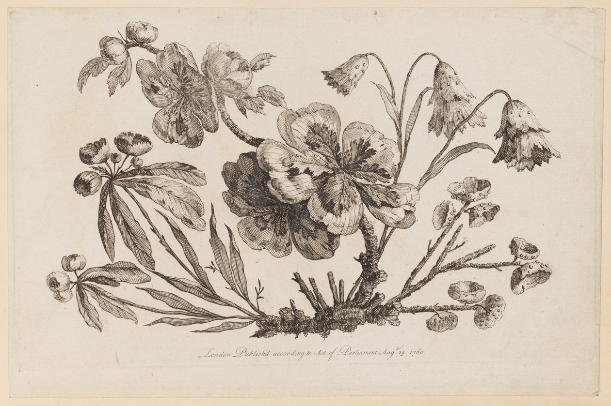 Rami Fioriti, da "Recueil de Fleurs de Chinois" da Jean Baptiste Pillement
