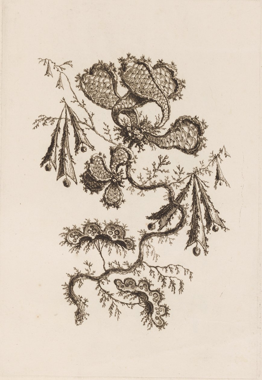 Ramo di Fiori, da "Fleures Persannes" da Jean Baptiste Pillement