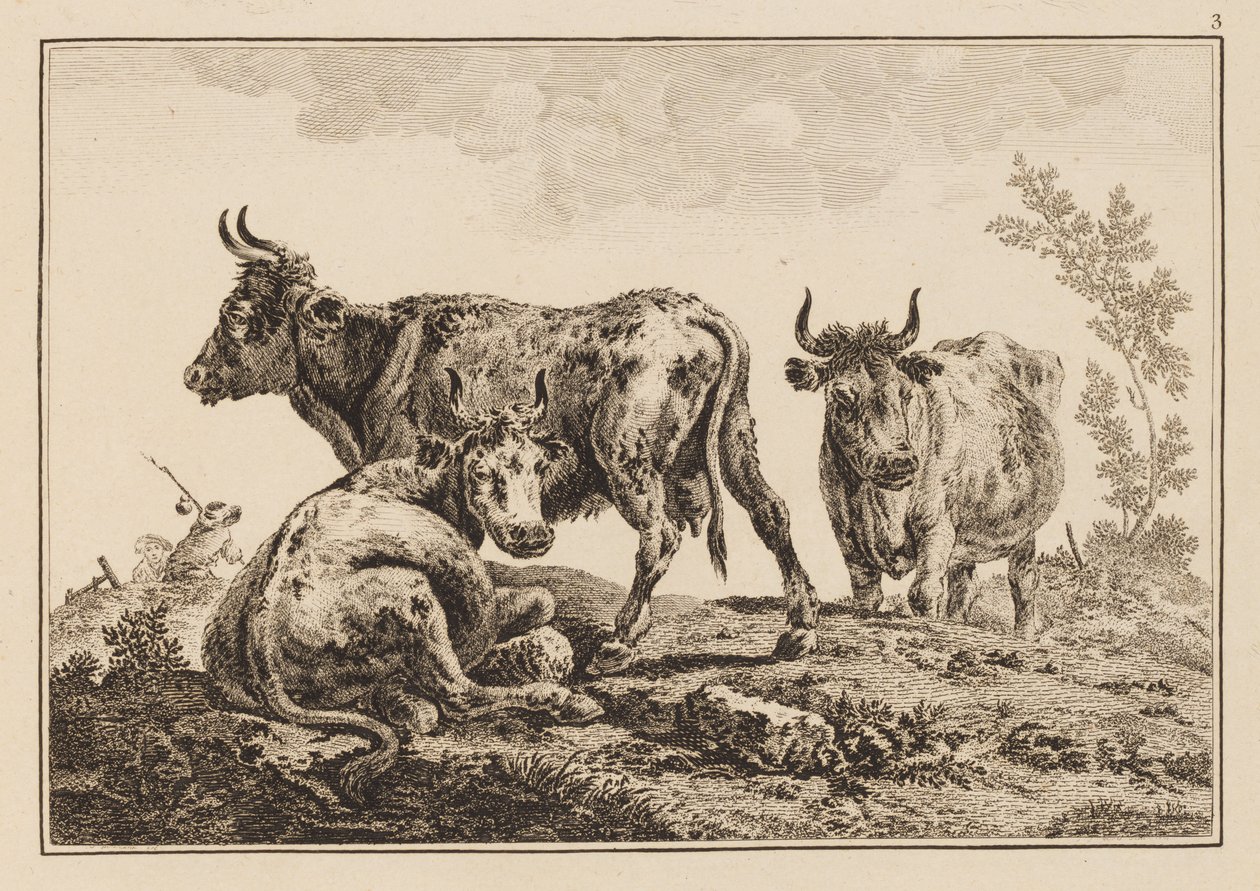 Tavola 3, da "Cahier de Six Feuilles de Boeufs et Vaches" da Jean Baptiste Pillement
