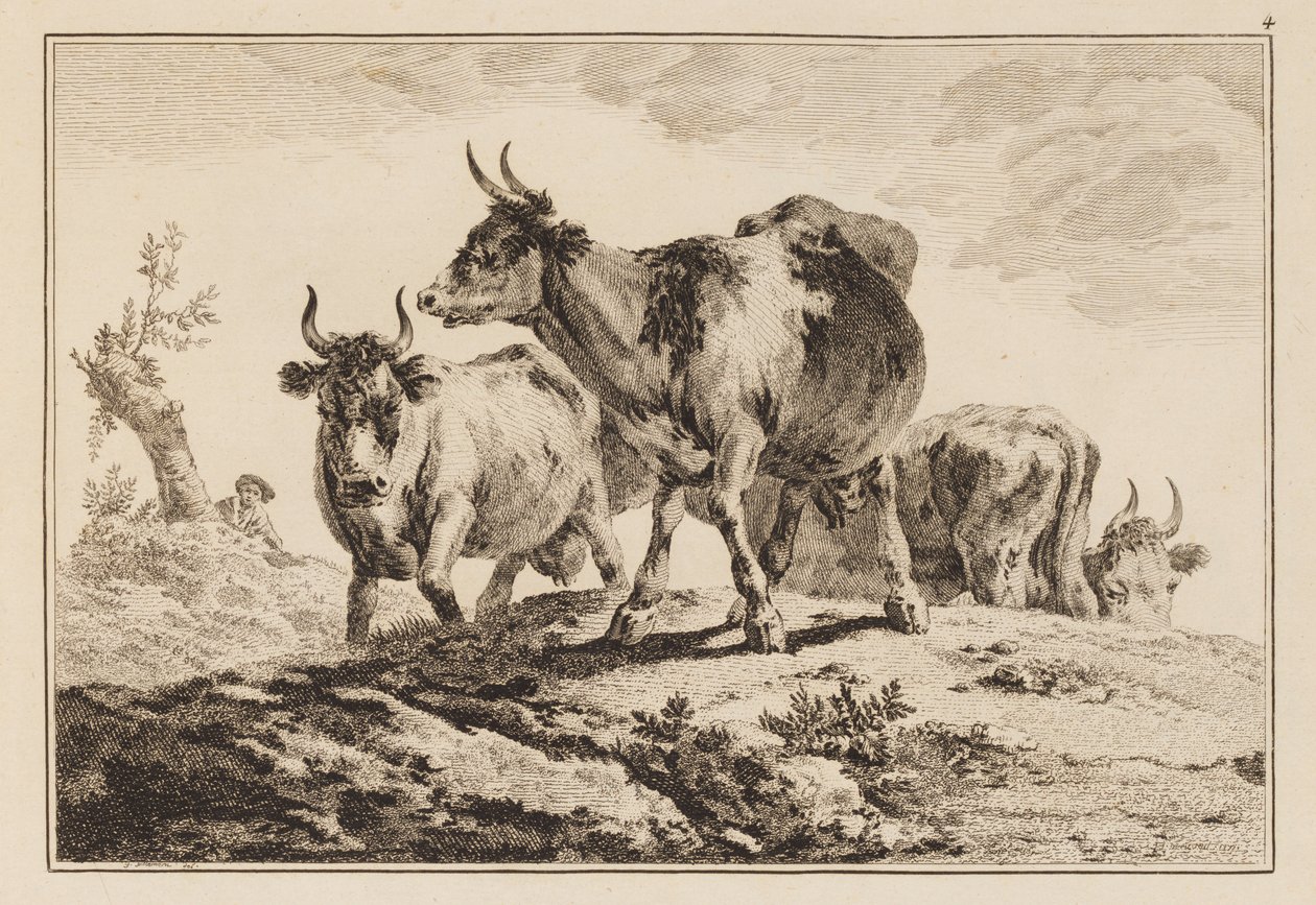 Tavola 4, da "Cahier de Six Feuilles de Boeufs et Vaches" da Jean Baptiste Pillement