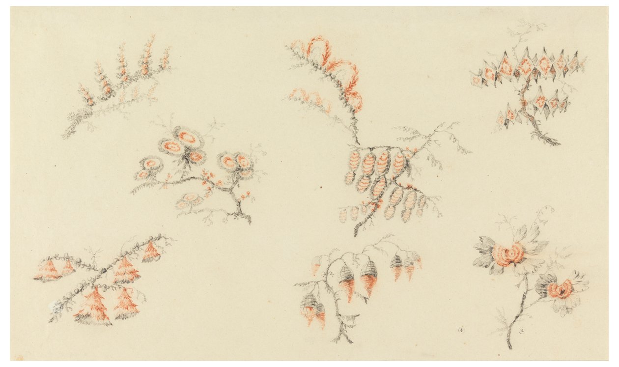 Mazzi di sette fiori ideali e di un fiore quasi naturalistico da Jean Baptiste Pillement