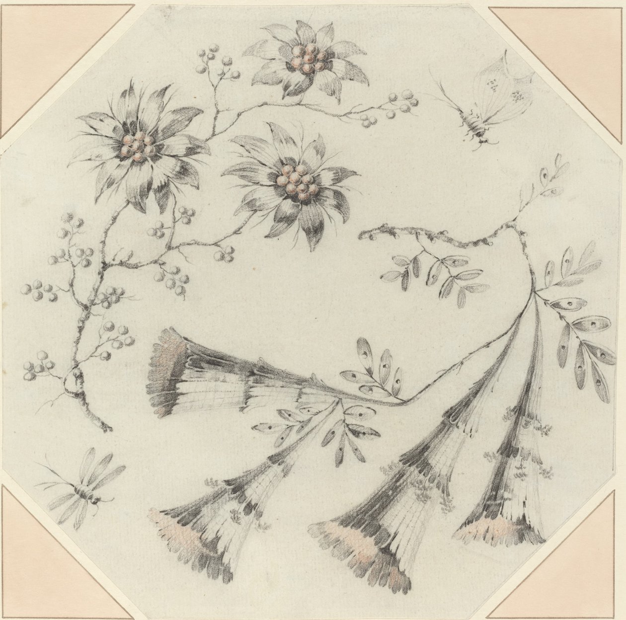 Fiori di tromba e margherite da Jean Baptiste Pillement