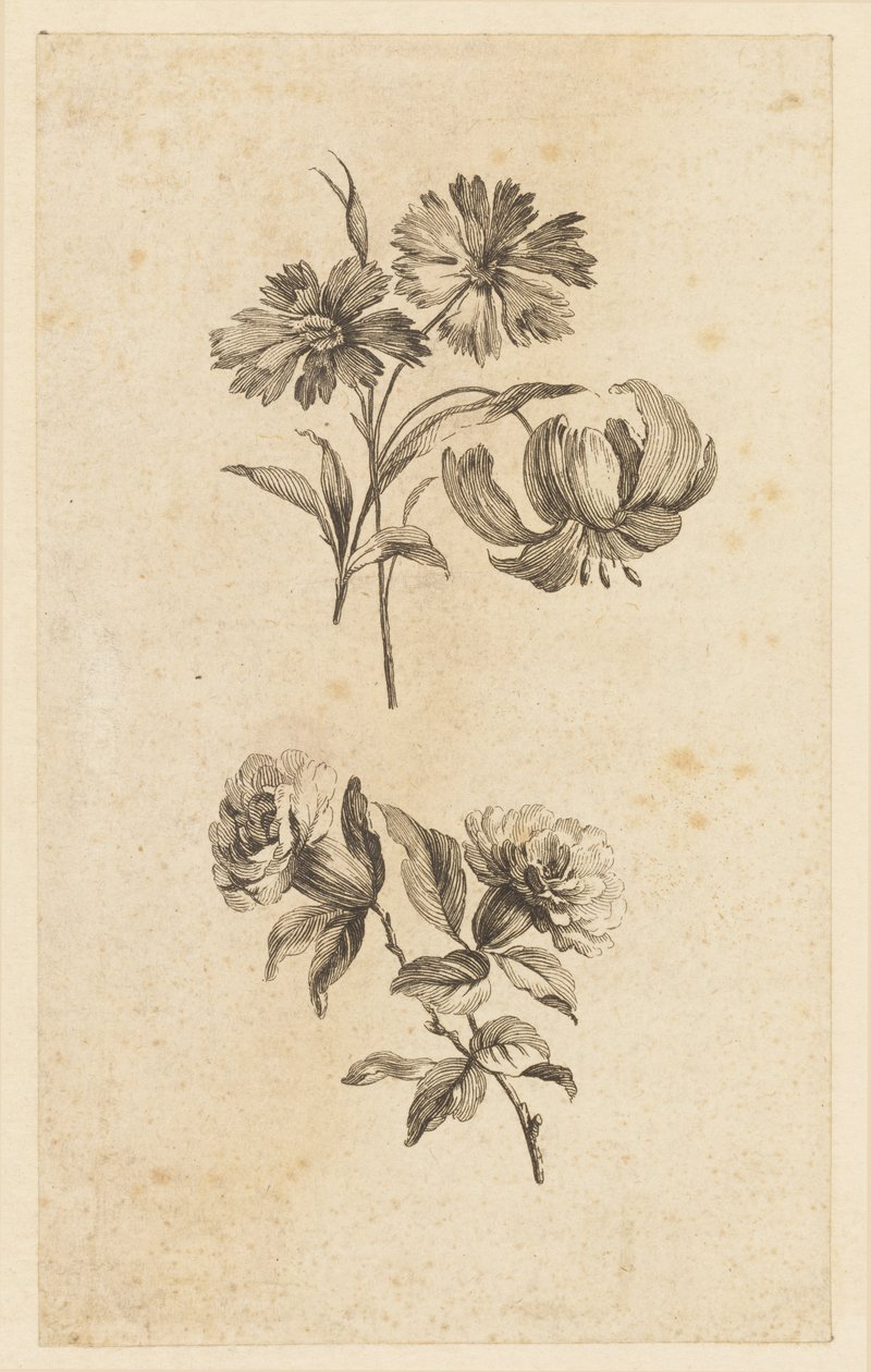 Due rami di fiori da Jean Baptiste Pillement