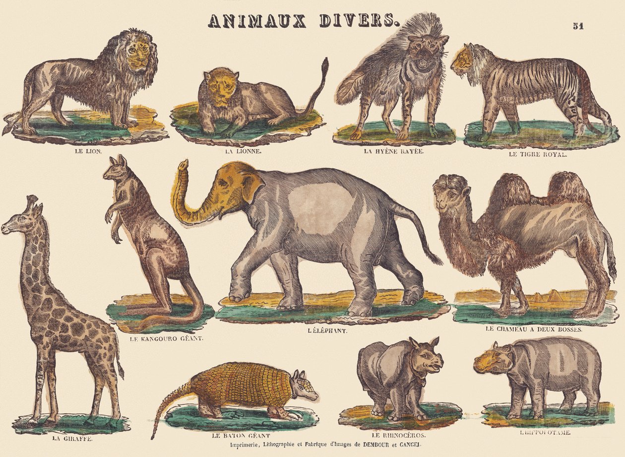 Vari animali, c.1840-1852 da Jean Baptiste Thiebault