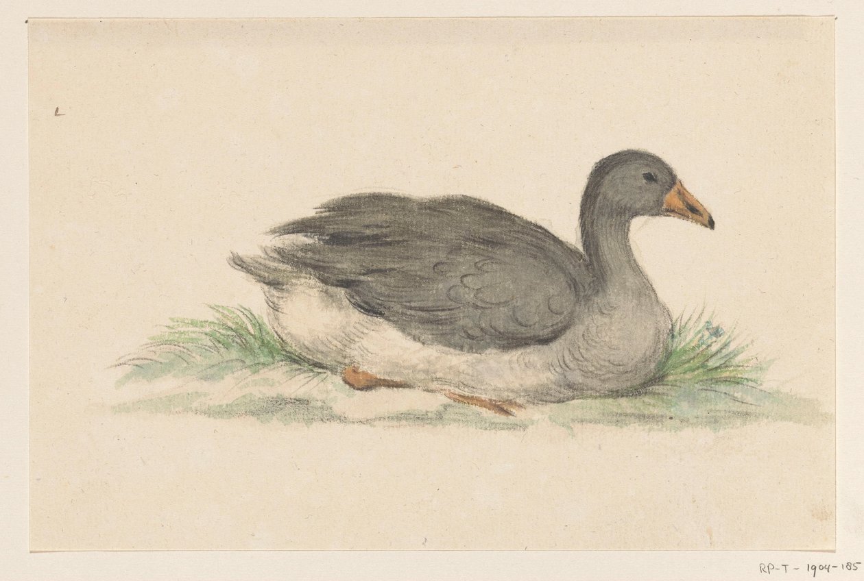 Anatra, verso destra da Jean Bernard