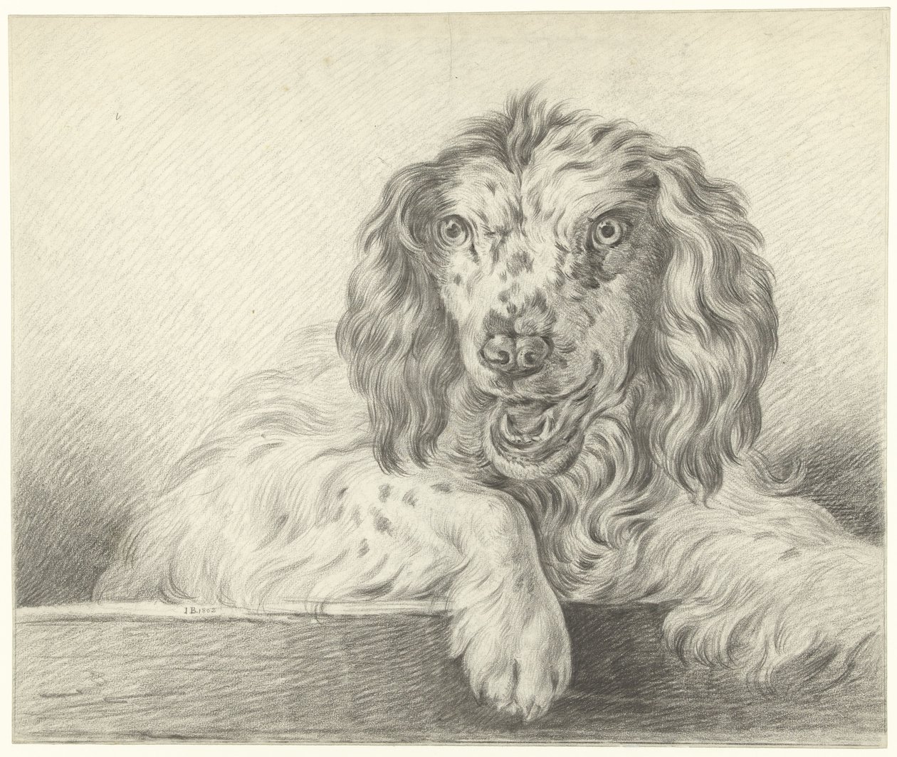 Cane da Jean Bernard