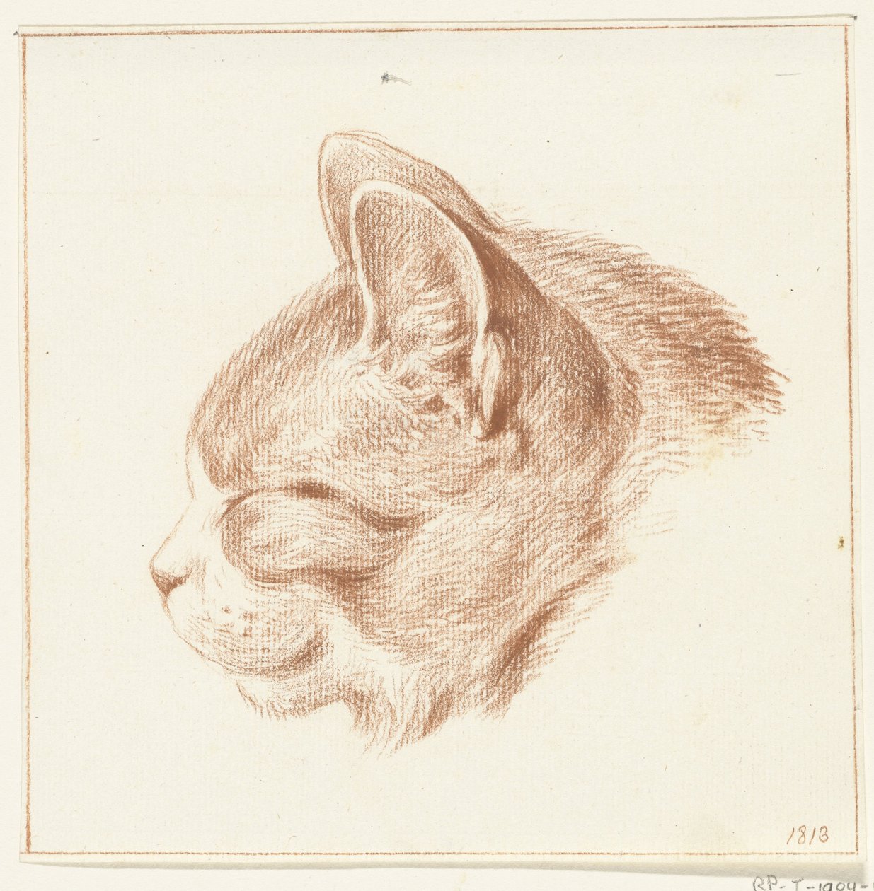 Testa di un gatto, verso sinistra da Jean Bernard