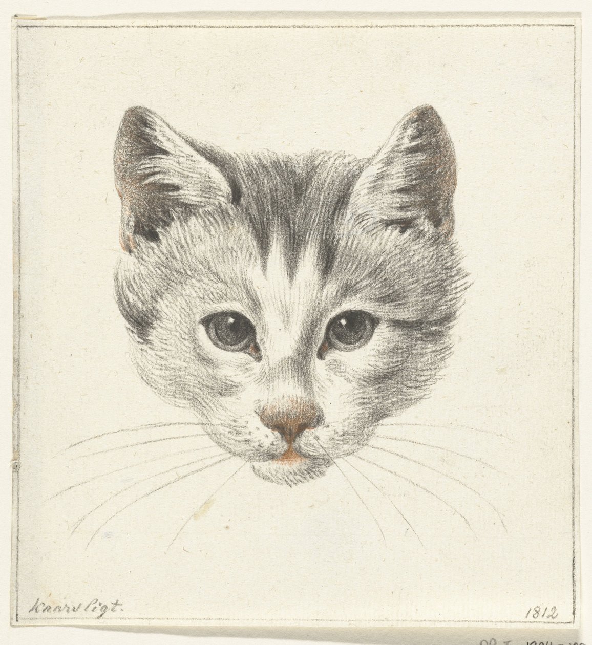 Testa di un gatto, vista di fronte alla luce di una candela da Jean Bernard