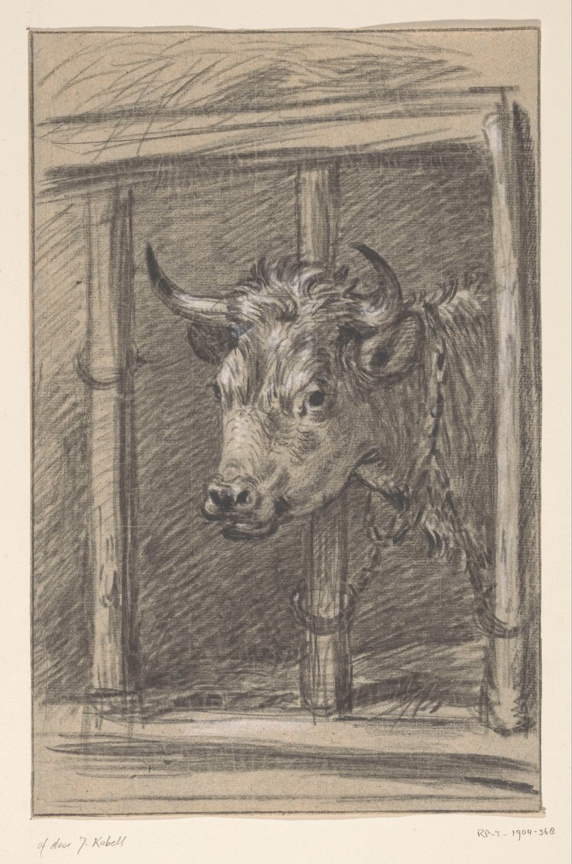 Testa di una mucca, attraverso le sbarre di una stalla da Jean Bernard