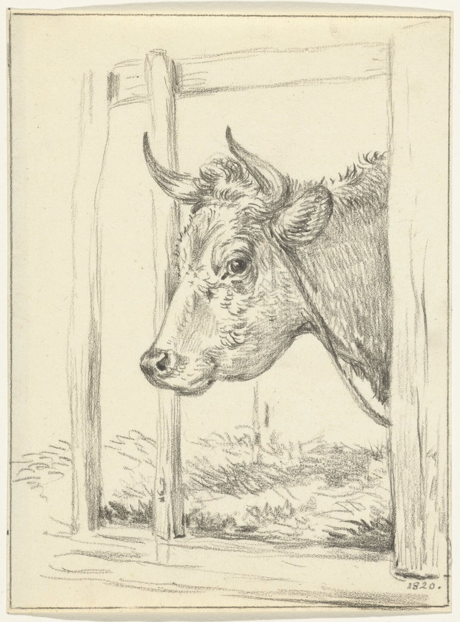 Testa di una mucca, in una stalla, verso sinistra da Jean Bernard
