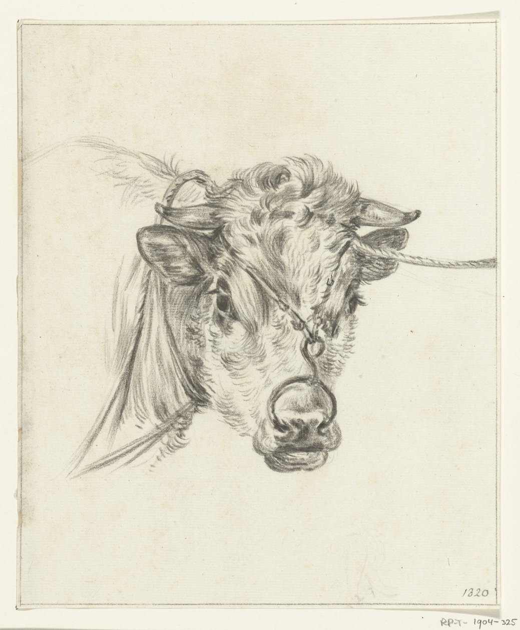 Testa di una mucca, con un anello al naso da Jean Bernard