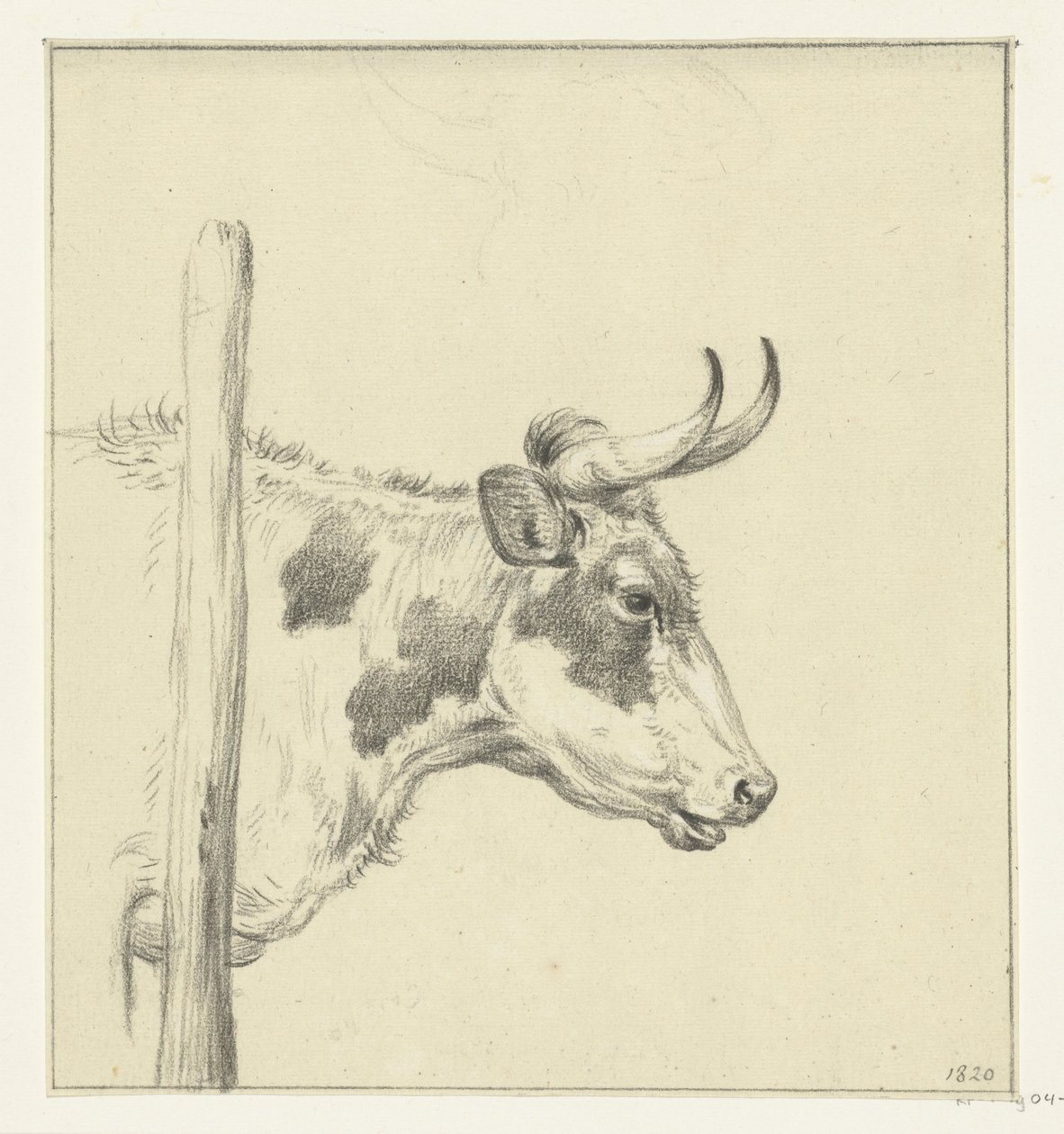 Testa di una mucca, verso destra da Jean Bernard