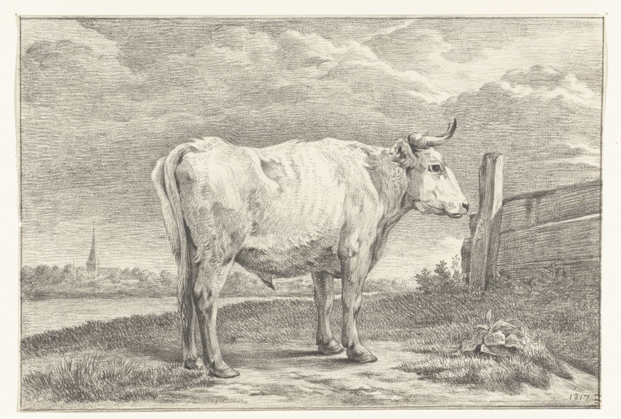 Toro in piedi, verso destra da Jean Bernard