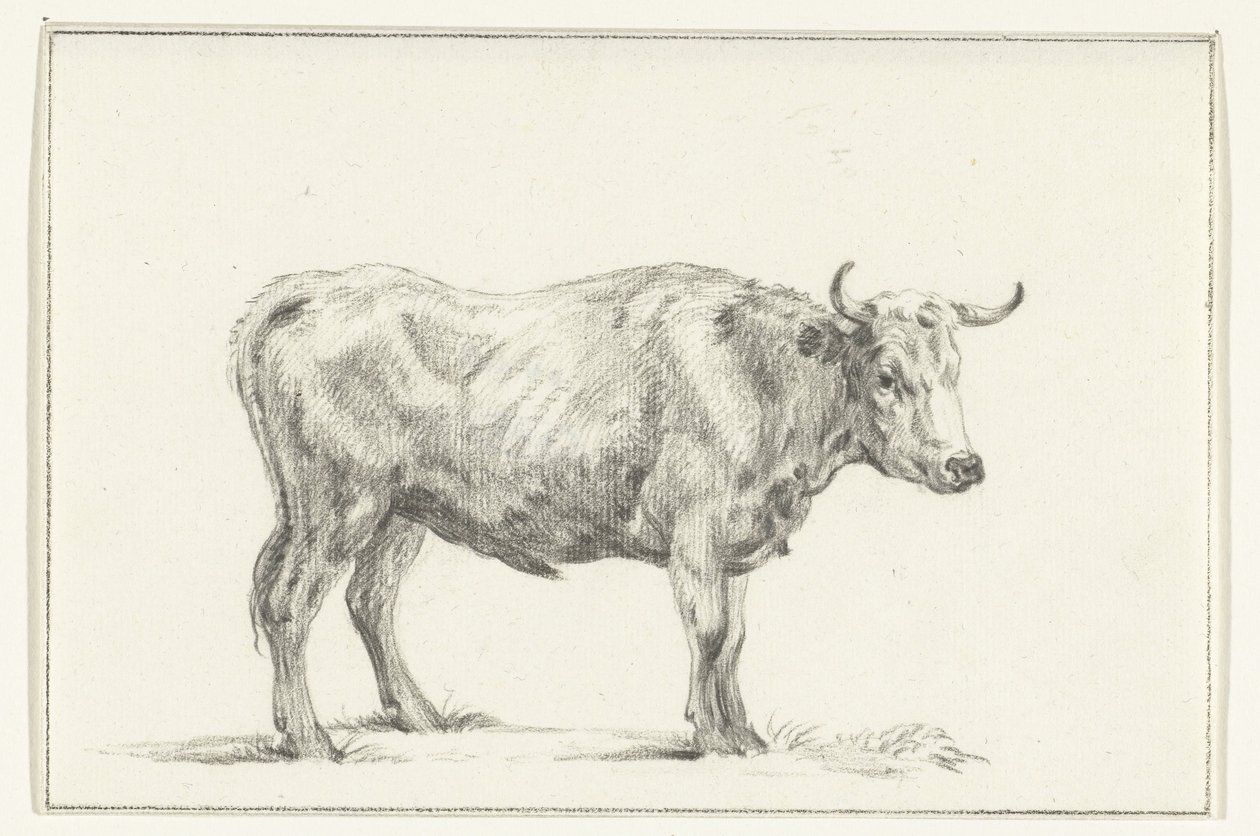 Toro in piedi, verso destra da Jean Bernard