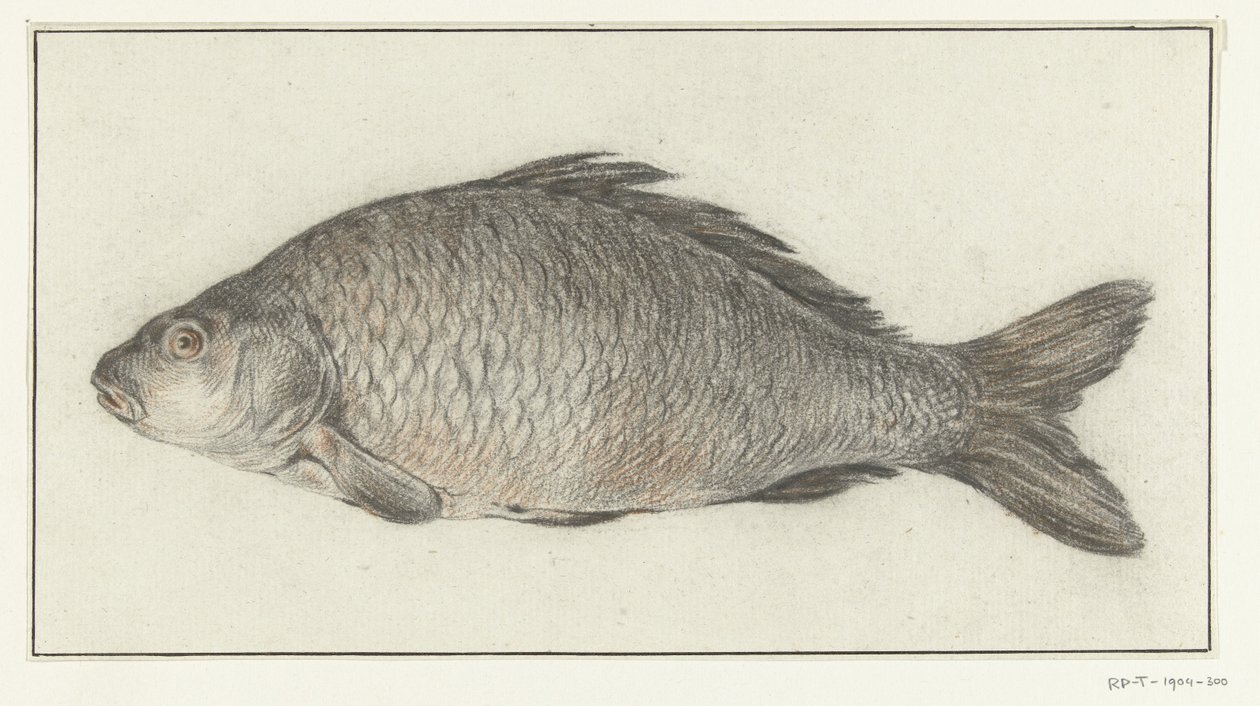 Pesce da Jean Bernard