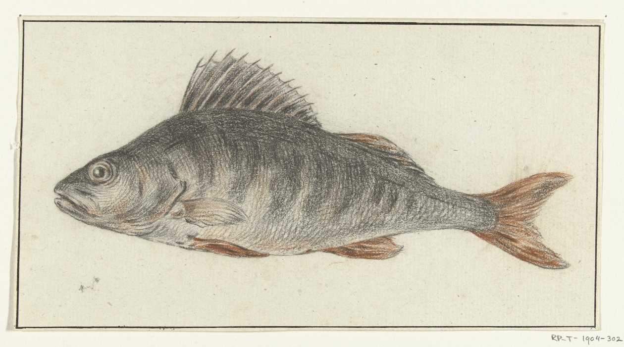 Pesce da Jean Bernard