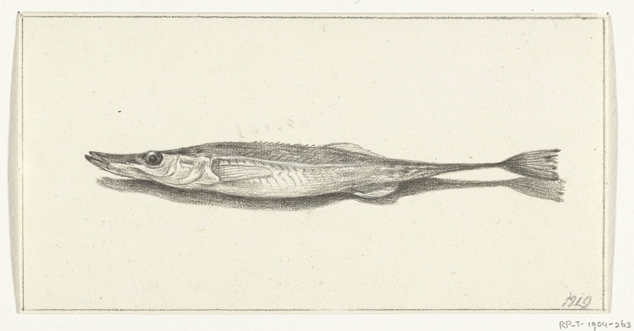 Pesce da Jean Bernard