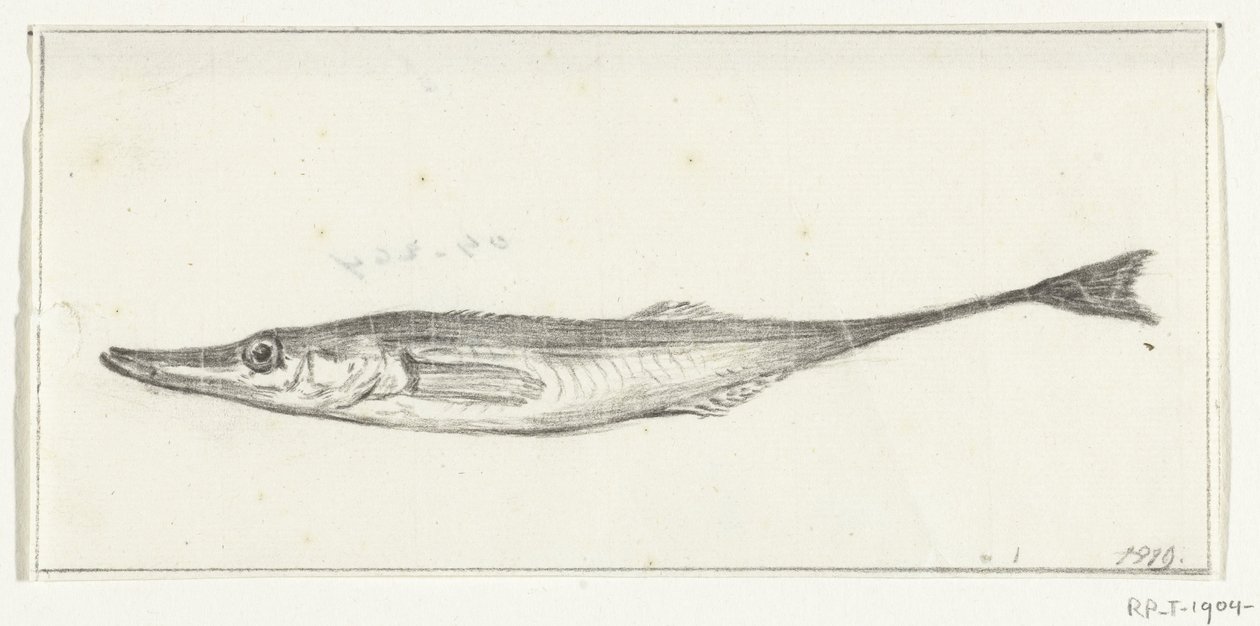 Pesce da Jean Bernard