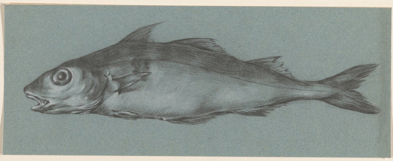 Pesce, verso sinistra da Jean Bernard