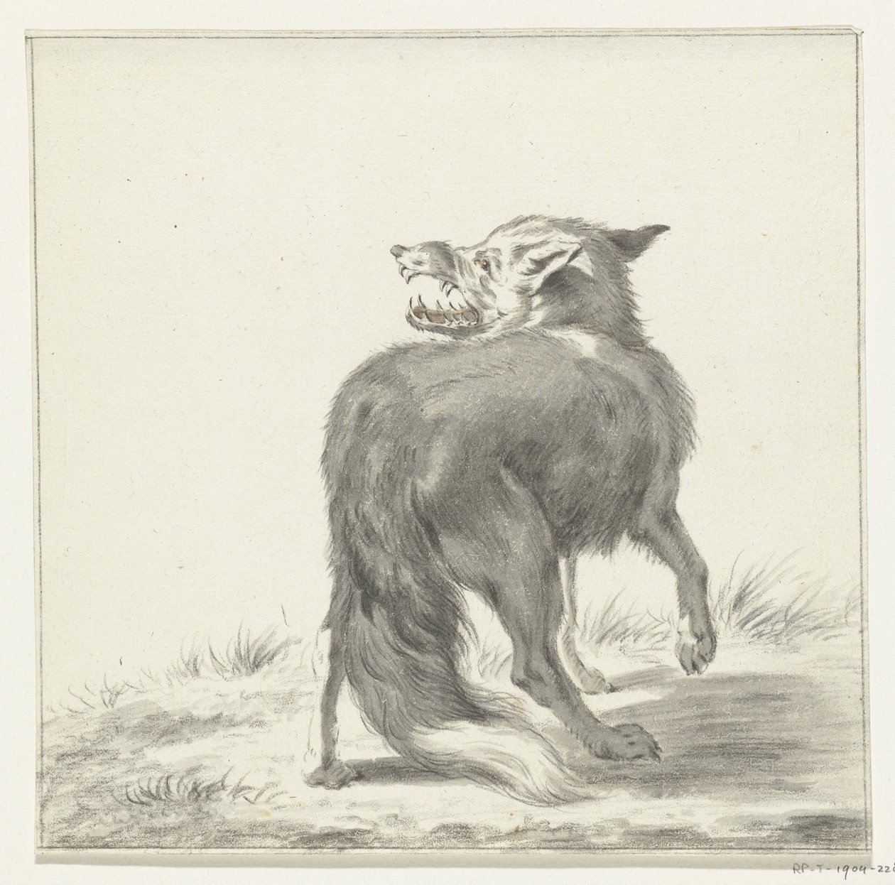 Volpe da Jean Bernard