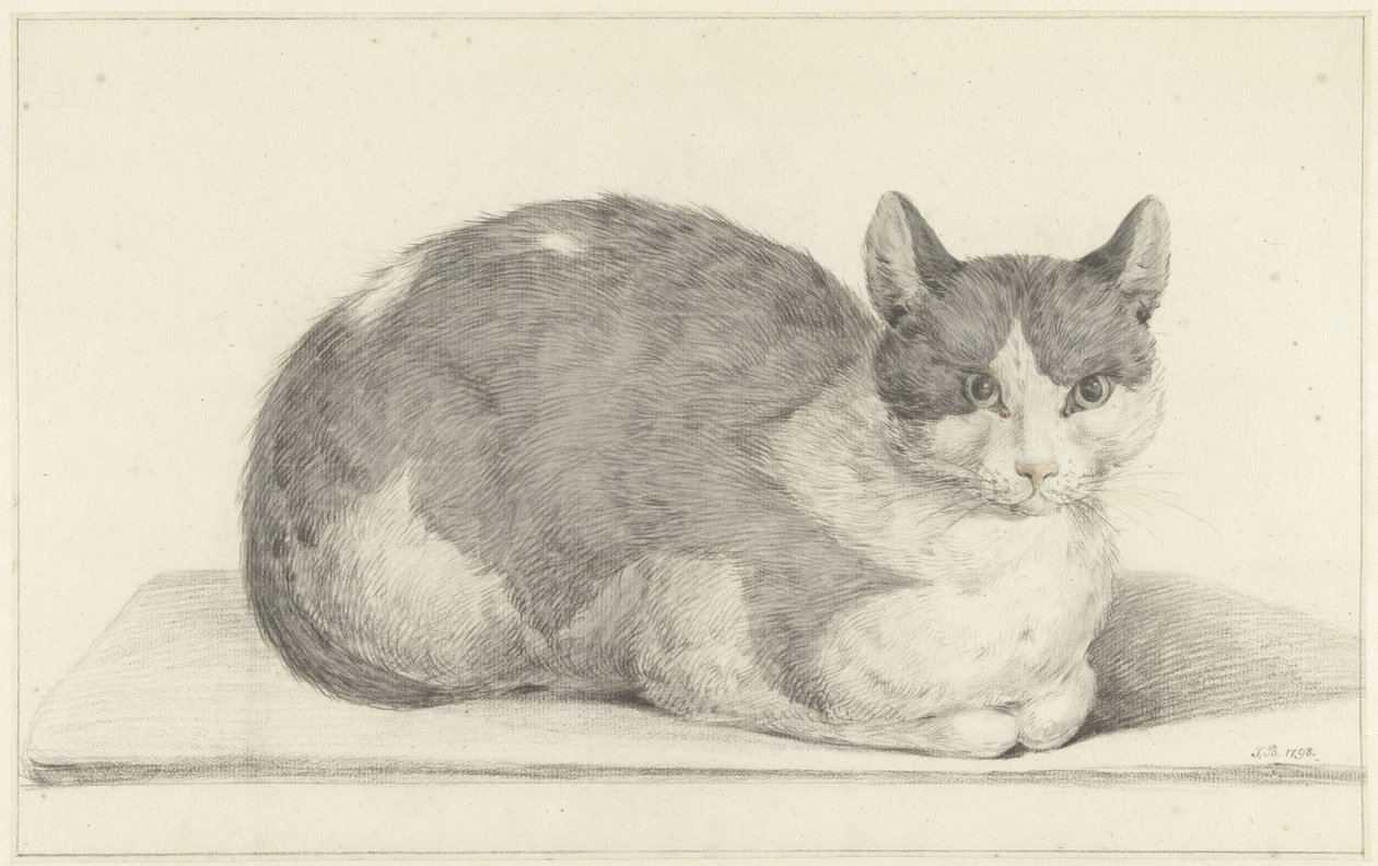 Gatto seduto, verso destra da Jean Bernard