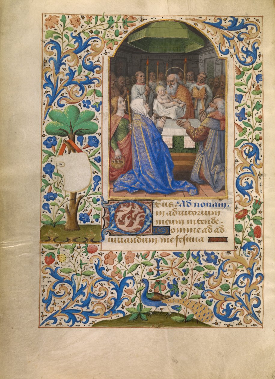 Die Darstellung im Tempel da Jean Bourdichon