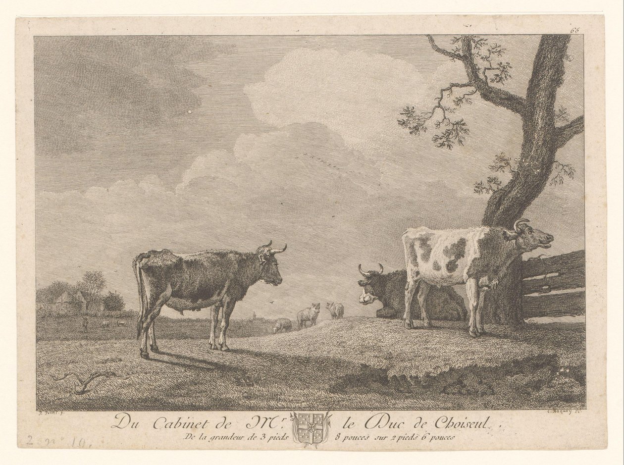 Tre mucche in un prato da Jean Charles Baquoy
